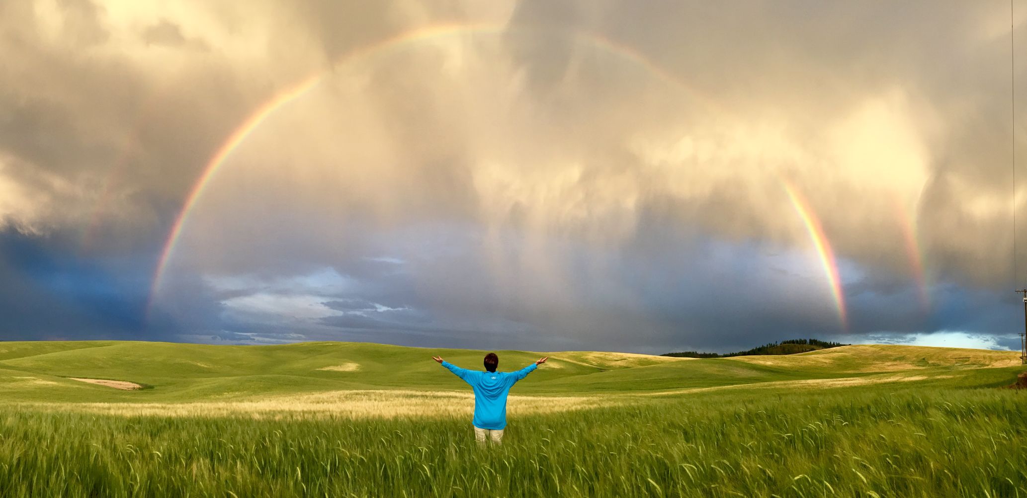 Rainbow Glory